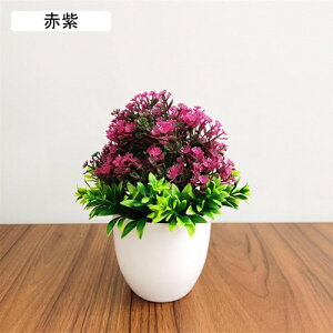 ϗtA  t  lH A  ~ CeA ItBX X  u ԃZbg { ͂Ȃ bsv rO///ʑ/Qp tFCNO[