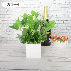   A AWTCZbg lHϗtA tFCNO[ { 32cm ~ CeA iX X  u ͂Ȃ b炸  JXj ]j v[