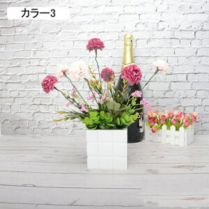   A AWTCZbg lHϗtA tFCNO[ { 32cm ~ CeA iX X  u ͂Ȃ b炸  JXj ]j v[