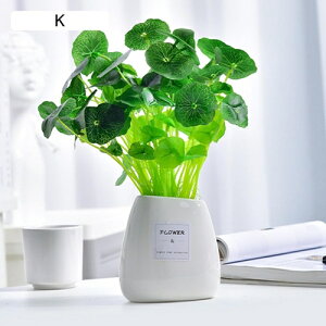 ϗtA  JX~ ԕrt tFCNO[ { ͂Ȃ bsv lH  CeA ItBX X  rO//ʑ/Qp A  蕨 v