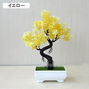  lHϗtA CeA  k tFCNO[ ~ A   z[  fXN A u Vzj ] z Mtg 蕨 v[g