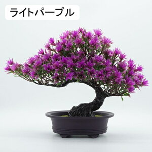 }q lHϗtA A ~ |    K[f ItBX rO[ { A } CeA Bep  蕨 b炸 v[g  