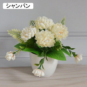 IVW[  ͂Ȃ  CeA A[gt[ sN1 v[g 蕨 JXj a  EFfBO u[P  Be p z[ 뉀 G} sv 