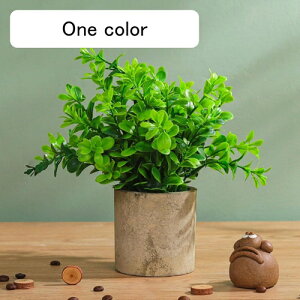 tFCNO[ [J lHϗtA  A ~  ~j CeA   sv bsv p Vzj ̓ ̓ Ղ 蕨 ItBX z[ f