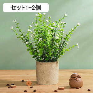 tFCNO[ [J lHϗtA  A ~  ~j CeA   sv bsv p Vzj ̓ ̓ Ղ 蕨 ItBX z[ f