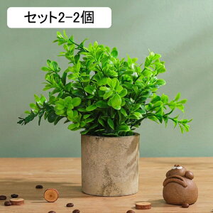 tFCNO[ [J lHϗtA  A ~  ~j CeA   sv bsv p Vzj ̓ ̓ Ղ 蕨 ItBX z[ f