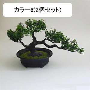 ϗtA  A lHϗtA tFCNO[ { ~ CeA  ItBX X  u ͂Ȃ b炸  JXj Vzv[g 2Zbg