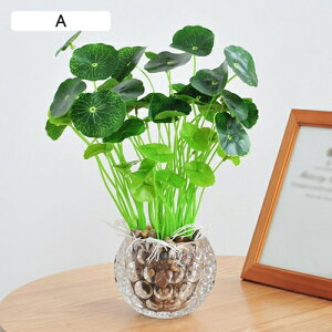 �ϗt�A�� ��� �K���X���t�� �{���������� ���� �͂�Ȃ� ���b�s�v �l�H���� �t�F�C�N�O���[�� �C���e���A �I�t�B�X �X�� ���� �J�Əj�� ���r���O/����/����/���ʑ�/�Q���p ���A�� ���蕨 �v