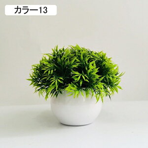 ϗtA ~j A lHϗtA tFCNO[ { 11-13cm ~ CeA  ItBX X   u ͂Ȃ b炸  Vz z 