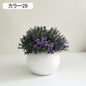 ϗtA ~j A lHϗtA tFCNO[ { 11-13cm ~ CeA  ItBX X   u ͂Ȃ b炸  Vz z 