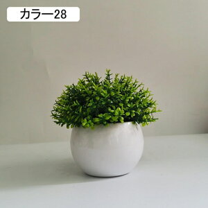 ϗtA ~j A lHϗtA tFCNO[ { 11-13cm ~ CeA  ItBX X   u ͂Ȃ b炸  Vz z 