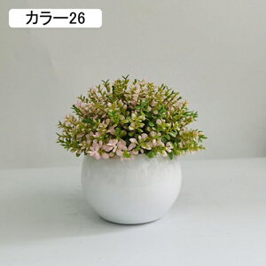 ϗtA ~j A lHϗtA tFCNO[ { 11-13cm ~ CeA  ItBX X   u ͂Ȃ b炸  Vz z 