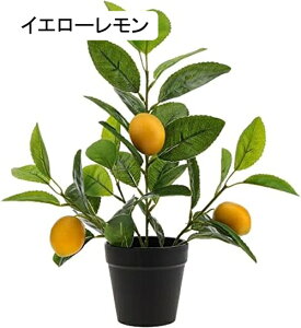 13C` lHc[ A ~jA  tFCNAt[c CG[  rO[ ItBX fXN Q p