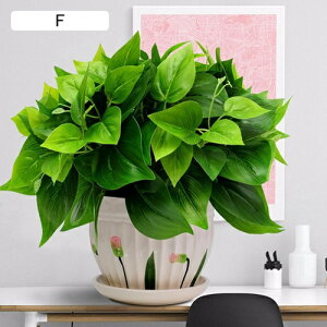 tFCNO[ ϗtA  ΐA { ͂Ȃ b炸 lH A ~ CeA ItBX ƒ X  u ԃZbg rO///ʑ 蕨 v