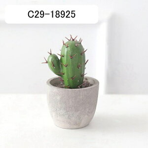 T{e~  CeA ~j A  k tFCNO[  INS lHϗtA  e[u ΂̐A u Vzj a ] v[g