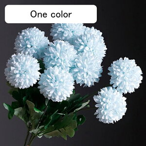  CeA s|e 5{ F ͂Ȃ A[gt[ ̓v[g Mtg 킢 j   X iX  p[eB[ a ԑ 蕨̉ lHϗtA