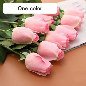  CeA sN 10{ [Y o KN ͂Ȃ A[gt[ ̓v[g Mtg 킢 j   X iX  p[eB[ a ԑ 蕨̉