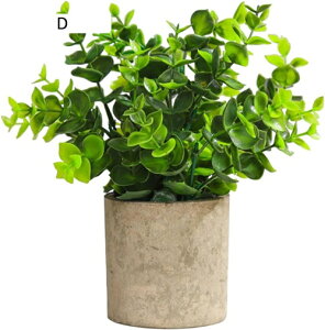 tFCNO[ ~j  A ~ t lHϗtA { k c CeA ItBX X  Be u ͂Ȃ b炸  JXj Vzj v