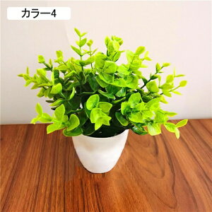 ϗtA  [K A ԃZbg lHϗtA tFCNO[ { ~ CeA  ItBX X   u ͂Ȃ b炸  蕨 v[