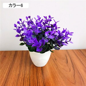 ϗtA  [K A ԃZbg lHϗtA tFCNO[ { ~ CeA  ItBX X   u ͂Ȃ b炸  蕨 v[