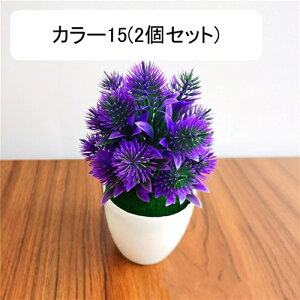 tFCNO[  Ԗ~ A lHϗtA 18cm vX`bN ~ CeA  ItBX X   u ͂Ȃ  JXj 蕨 v[g 2Z