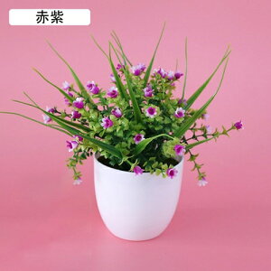 lHϗtA  tFCNt[ ~j A  k CeA  vX`bN tFCNO[ p  ItBX z[  Ԃ̖~ e[u̒u Vzj