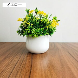 tFCNO[ lHϗtA ~j  A  ~ CeA ItBX X  u ԃZbg ͂Ȃ bsv rO///ʑ/Qp lH Vj ]