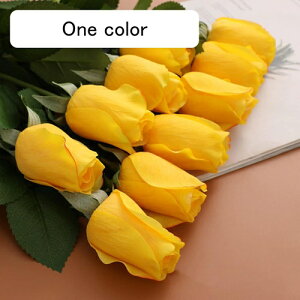  CeA F 10{ [Y o KN ͂Ȃ A[gt[ ̓v[g Mtg 킢 j   X iX  p[eB[ a ԑ 蕨̉ l