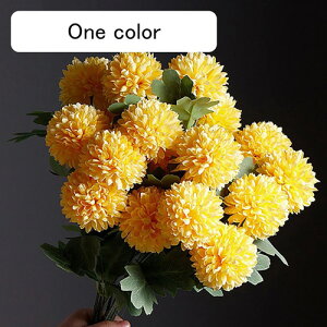  CeA s|e 10{ F ͂Ȃ A[gt[ ̓v[g Mtg 킢 j   X iX  p[eB[ a ԑ 蕨̉ lHϗtA