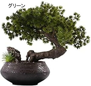 lHϗtA lH̖؂̋Sn̗ǂ̖؂̖~͂̑iT̋U̐A~̓|[`}CNi΂̐AfXNgbv̔A̐A lH~