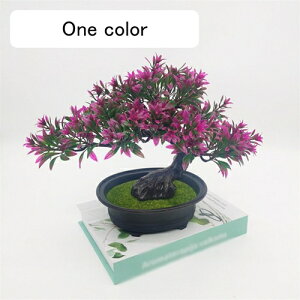 lHϗtA ~j A tFCNO[ A 25cm*30cm ~ CeA ƒ ItBX X   u ͂Ȃ b炸  蕨 v[g bh