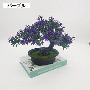 lHϗtA ~j A tFCNO[ A 25cm*30cm ~ CeA ƒ ItBX X   u ͂Ȃ b炸  蕨 v[g bh