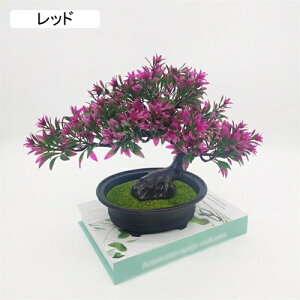 lHϗtA ~j A tFCNO[ A 25cm*30cm ~ CeA ƒ ItBX X   u ͂Ȃ b炸  蕨 v[g bh