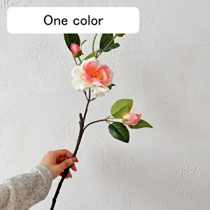   CeA  ւ̉ 1{ ͂Ȃ Q   ItBX ̓  a j JXj  EFfBO p[eB[ v[g ʐ^ A[gt