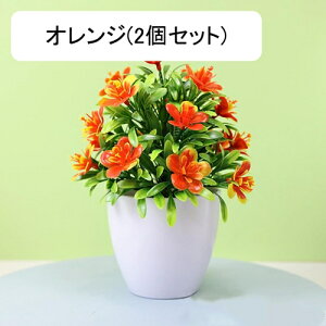 tFCNO[ lHϗtA  vX`bN A  ~ CeA ItBX X  u ͂Ȃ lH JXj Vzj Ԏ