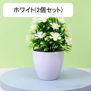 tFCNO[ lHϗtA  vX`bN A  ~ CeA ItBX X  u ͂Ȃ lH JXj Vzj Ԏ