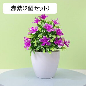 tFCNO[ lHϗtA  vX`bN A  ~ CeA ItBX X  u ͂Ȃ lH JXj Vzj Ԏ