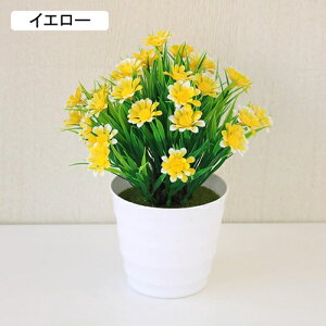  lHϗtA CeA ~j A  k tFCNt[ tFCNO[  nӓI   ItBX z[  Be Ԃ̖~ e[u̒u Vz