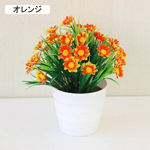  lHϗtA CeA ~j A  k tFCNt[ tFCNO[  nӓI   ItBX z[  Be Ԃ̖~ e[u̒u Vz