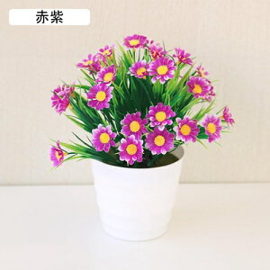  lHϗtA CeA ~j A  k tFCNt[ tFCNO[  nӓI   ItBX z[  Be Ԃ̖~ e[u̒u Vz