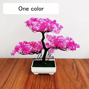 ϗtA  A ւ̉ lHϗtA tFCNO[  24cm ~ CeA  ItBX X  u ͂Ȃ b炸  JXj 蕨 v[g o