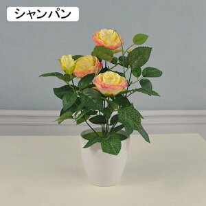 ԕȓ  { ͂Ȃ o CeA k ʐ^Be j v[g  iX  sv  G} Ԍ|p lHϗtA  sN 