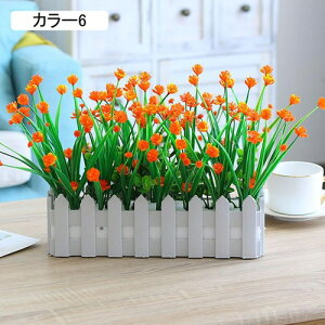 lHϗtA ͂Ȃ vX`bNtFX { c CeA iX  p rO[ Ԍ|p  K[f G} sv  ؍ ԃZb