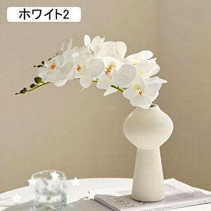 ԕȓ Ӓ { ͂Ȃ  LO ̓Mtg  sv  t[ 뉀 Ԍ|p v[g  iX ԑ VN  zCg O