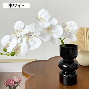 ԕȓ Zbg k Ӓ  { ̓Mtg LO  t[ p[v 뉀 Ԍ|p v[g  iX  VN ͂Ȃ sv 