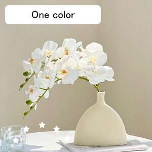 ͂Ȃ ԕȓ { Ӓ  LO ̓Mtg  sv  t[ 뉀 Ԍ|p v[g  iX ԑ VN  zCg O