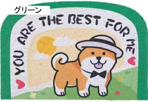  p_ 40*60cm փ}bg O PVC k  傫 EFJ}bg DƂ GgX}bg hA}bg ې ʋC 킢 𗎂Ƃ OphA}bg