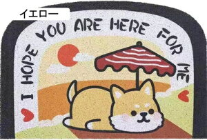  p_ 40*60cm փ}bg O PVC k  傫 EFJ}bg DƂ GgX}bg hA}bg ې ʋC 킢 𗎂Ƃ OphA}bg