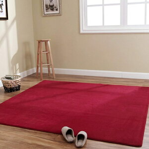 �J�[�y�b�g ���O 160*230cm �􂦂� ����~�ߕt �h�_�j ���C�����b�h �R�� �h�L �h�� �|���Ղ� �z������ �t �� �H �~ ���g�[ �z�b�g�J�[�y�b�g�Ή� �ӂ���Ǝ�G�� �D���� �O�~ ���O�J