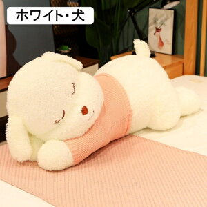 �N�}�ʂ������ ����N�b�V���� 1m ���D����� ������ �������� ���� ���� ���������܂��� ���� ������p �w������ �Y���Q�� �傫�� �G���G�� �ӂ�ӂ� �����n �X�g���X���� �ޏ��ގ��� ��